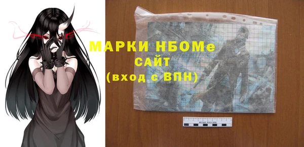 шишки Абаза