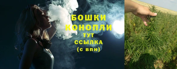 шишки Абаза