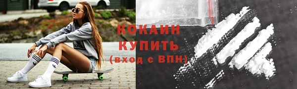 шишки Абаза