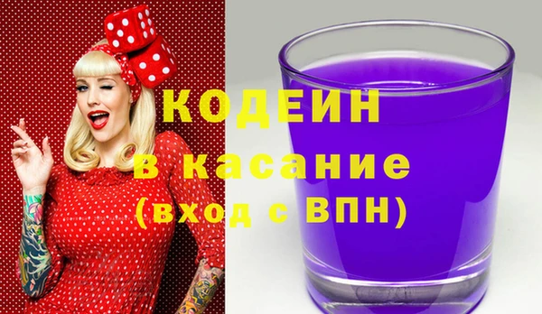 шишки Абаза