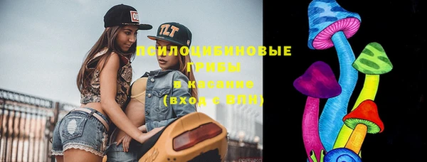 шишки Абаза