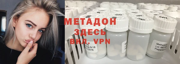 шишки Абаза