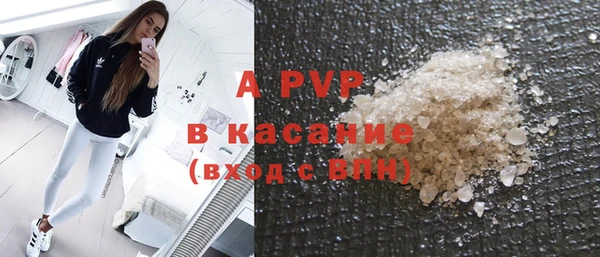 шишки Абаза