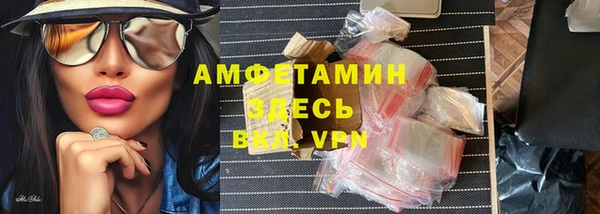шишки Абаза