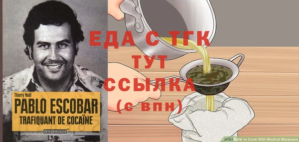 шишки Абаза