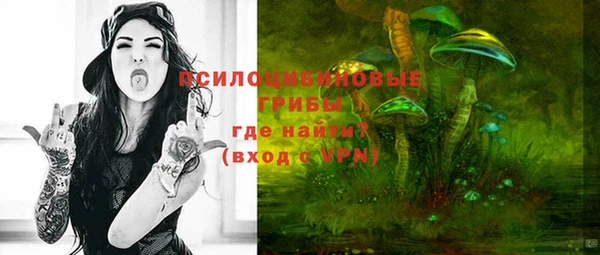 шишки Абаза